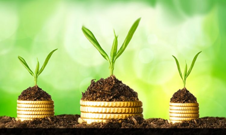 Sprouts growing on coins